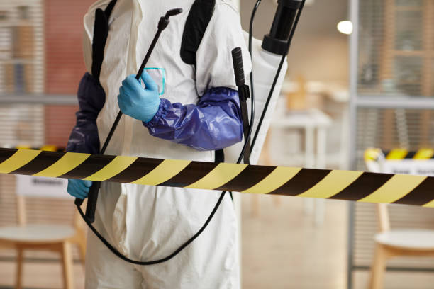 Professional Sewage Cleanup technician working in Victor, CA